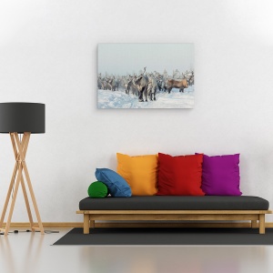 Tablou canvas - Reni, Animale, Reni, Iarna, 80 x 120 cm - Img 2