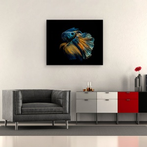 Tablou canvas - Rochia Mea, Peste De Lupta Siamez, Intuneric, Punct, 60 x 75 cm - Img 2