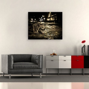 Tablou canvas - Rosu, Noapte, Pisica, Animal, Strada, Limba, 60 x 75 cm - Img 2
