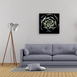 Tablou Canvas - Rozeta Sempervivum, Rosette, Suculent, Sempervivum, Plante, 90 x 90 cm - Img 2