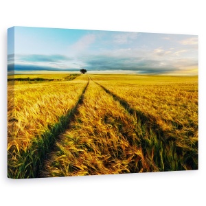 Tablou canvas - Rural, Camp, Peisaj, Copac, Singuratic, Batut De Vant, 40 x 60 cm