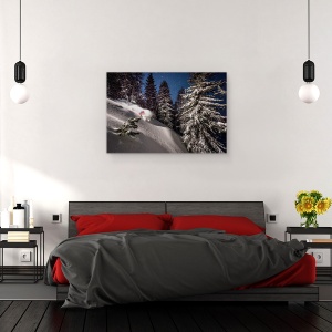 Tablou canvas - Schior, Actiune, Zapada, Pomi, Panta, Schior, 40 x 60 cm - Img 3