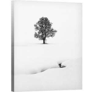 Tablou canvas - Solitaire, Copac, Solitar, Zapada, Minimalism, Curat, Cauzali, 60 x 75 cm