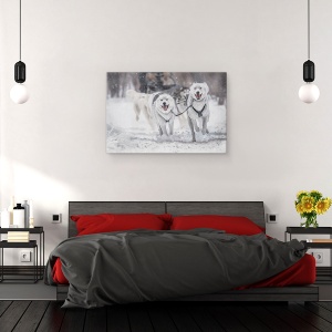 Tablou canvas - Sporturi De Iarna, Actiune, Caine, Sanie, Viteza, 40 x 60 cm - Img 3