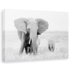 Tablou canvas - Stai Departe, Elefant, Salbatic, Natura, Animal, Dragut, 40 x 60 cm