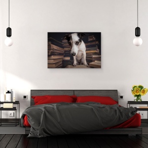 Tablou canvas - Studentul, Caini, Animale, Caine, Studio, Citire, 60 x 90 cm - Img 3