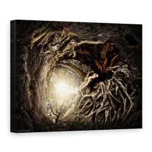 Tablou canvas - Sub Copaci, Radacini, Ireal, Soare, Lumina, 75 x 100 cm