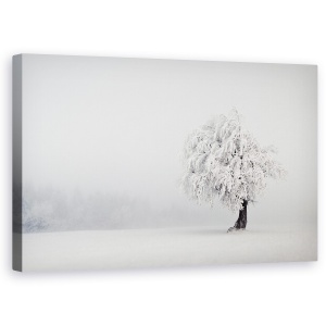 Tablou canvas - Tacere, Zapada, Copac, Schauinsland, Iarna, Ceata, 50 x 80 cm