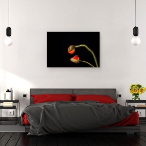 Tablou canvas - Tango Argentinian, Natura Moarta, Silueta, Vara, Floare, Macro, 40 x 60 cm - Img 3