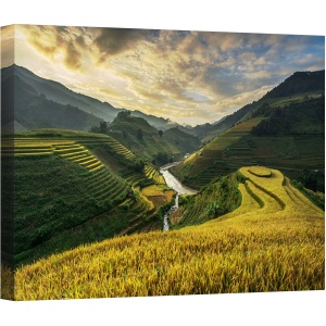 Tablou canvas - Terase de Orez, Terasa, Orez, Campuri de Orez, 50 x 70 cm