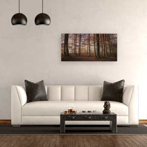 Tablou canvas - Toamna, Copaci, Padure, 50 x 100 cm - Img 2