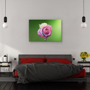 Tablou canvas - Trandafir colorat, Flori, Roz, Roua, Petale, 60 x 90 cm - Img 3