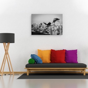 Tablou canvas - Trio, Fauna, Salbatic, Natura, Animal, Pasare, 60 x 90 cm - Img 2