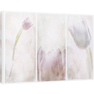 Tablou canvas - Triptic, Floare, Estompat, Lalea, Moale, Textura, 40 x 60 cm