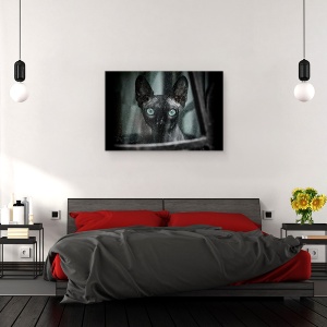 Tablou canvas - Tristul Prizonier Al Unui Apartament, Pisica, Ochi, 80 x 120 cm - Img 3