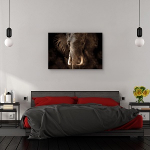 Tablou canvas - Tusker, Nature, Elefant, Maiestuos, Colti, 80 x 120 cm - Img 3