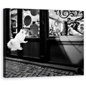 Tablou canvas - Ultimul Client, Caine, Salt, Pet, Strada, 60 x 75 cm