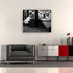 Tablou canvas - Ultimul Client, Caine, Salt, Pet, Strada, 60 x 75 cm - Img 2