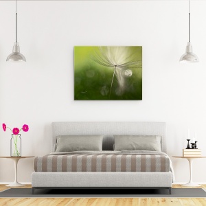 Tablou canvas - Umbre In Verde, Macro, Verde, Seminte, Moale, 60 x 75 cm - Img 3