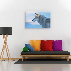 Tablou canvas - Un Lup Vigilent, Animal, Animale, Blana, Lup, 40 x 60 cm - Img 2