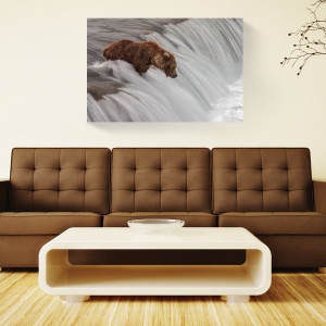 Tablou decorativ canvas urs lângă râu în natură