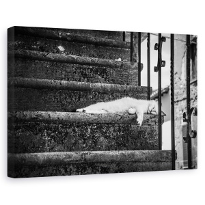 Tablou canvas - Viata Lenta, Pisica, Vis, Pitigliano, Italia, Borgo, 60 x 90 cm