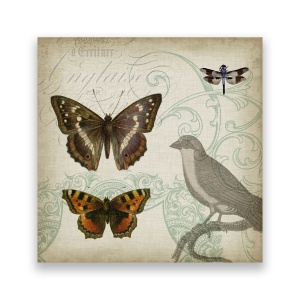 Tablou Canvas - Vintage, Pasari, Fluturi, Libelula, 60 x 60 cm