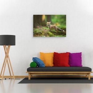 Tablou canvas - Vulpe Rosie, Dragut, Copil, Coada, 80 x 120 cm - Img 2