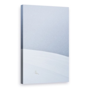 Tablou canvas - Vulpea Arctica In Svalbard, Spitsbergen, Alb, Moale, Rece, 40 x 60 cm