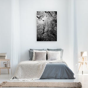 Tablou canvas - Zbor, Pasare, Copaci, Melenci, Serbia, 60 x 90 cm - Img 2