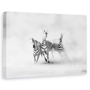 Tablou canvas - Zebre, Nature, Trio, Linii, 60 x 90 cm