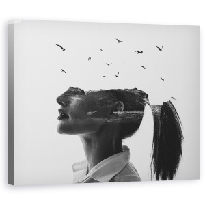 Tablou canvas - Zefir, Expunere Dubla, Alb-Negru, Femeie, Par, Pasari, 60 x 75 cm