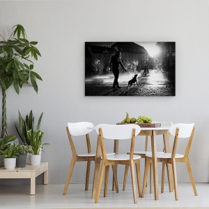 Tablou canvas - Zi Fierbinte, Strada, Caine, Pet, Soare, Lumina, 50 x 80 cm - Img 4