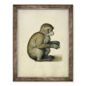 Tablou inramat - Albrecht Durer - O maimuta, 70 x 90 cm