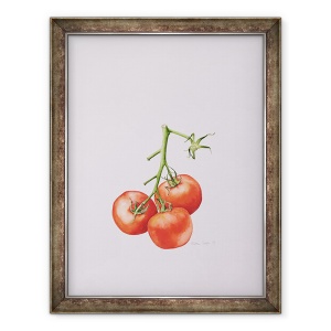 Tablou inramat - Alison Cooper - Trei rosii pe vita de vie, 60 x 80 cm
