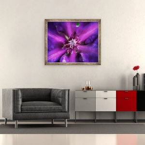 Tablou inramat - Ant Smith - Dalie Violet, 2020, 50 x 60 cm - Img 2