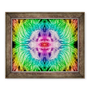 Tablou inramat - Ant Smith - Planta Rainbowed, 50 x 60 cm