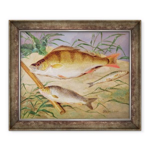 Tablou inramat - D. Wolstenholme the Younger - Captura unui pescar de peste grosier, 50 x 60 cm