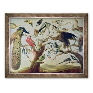 Tablou inramat - Frans Snyders - Concertul pasarilor, 60 x 80 cm