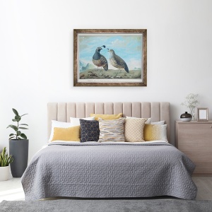 Tablou inramat - J.R Prevost - Barbat si Femeie Partridge californian, 60 x 80 cm - Img 3
