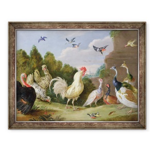 Tablou inramat - Jan van Kessel the Elder - Peisaj impadurit cu un cocos, curcan, gaini si alte pasari, 60 x 80 cm