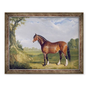 Tablou inramat - John Frederick Herring Snr - Un armasar din Clydesdale, 60 x 80 cm