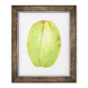 Tablou inramat - Lincoln Seligman - Nuca de cocos, Sri Lanka, 50 x 60 cm