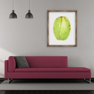 Tablou inramat - Lincoln Seligman - Nuca de cocos, Sri Lanka, 50 x 60 cm - Img 2