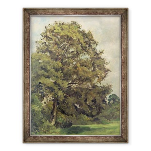 Tablou inramat - Lionel Constable - Studiul unui frasin, 70 x 90 cm