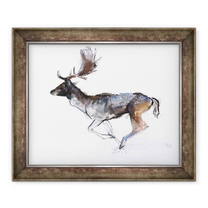 Tablou inramat - Mark Adlington - Buck Seara Cerb Fallow, 2007, 50 x 60 cm