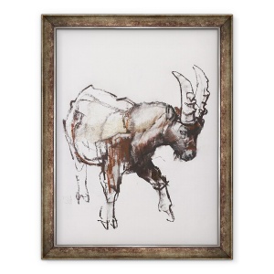Tablou inramat - Mark Adlington - Tineri Ibex, Gran Paradiso, 60 x 80 cm