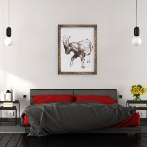 Tablou inramat - Mark Adlington - Tineri Ibex, Gran Paradiso, 60 x 80 cm - Img 3