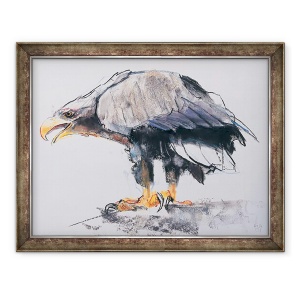 Tablou inramat - Mark Adlington - Vulturul de mare cu coada alba, 60 x 80 cm