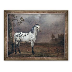 Tablou inramat - Paulus Potter - Calul Piebald, 60 x 80 cm